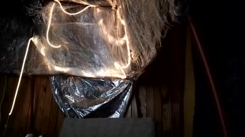 super jony and Marta GMT 1300-1800 every day online show from 10.01.25