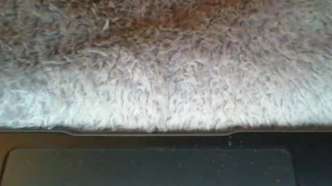 Snapshot of suseee chatting on 03.21.26 Suseee online show from 03.21.26