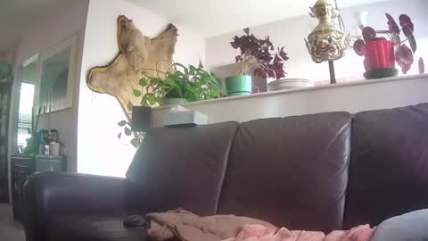 Otto online show from 10.07.25