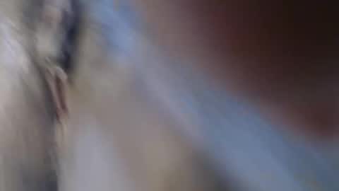 Snapshot of suzyblack4 chatting on 03.22.26 Suzy online show from 03.22.26