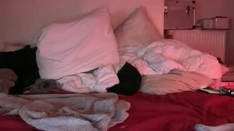 Horny French Arab online show from 03.25.26