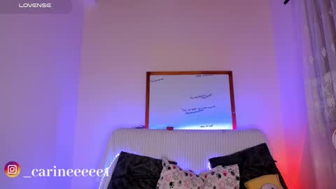 Snapshot of sweet_carine chatting on 12.17.24 camil online show from 12.17.24