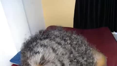 ellanah Tracie online show from 09.30.25