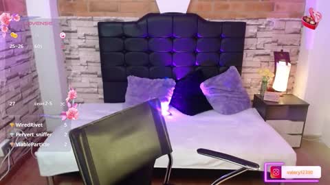 Snapshot of sweet_valery21 chatting on 02.21.25 valery online show from 02.21.25