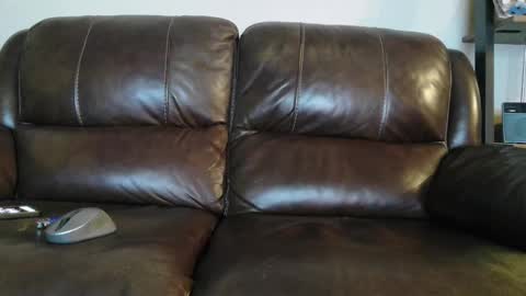 sweetcocksean online show from 02.20.26