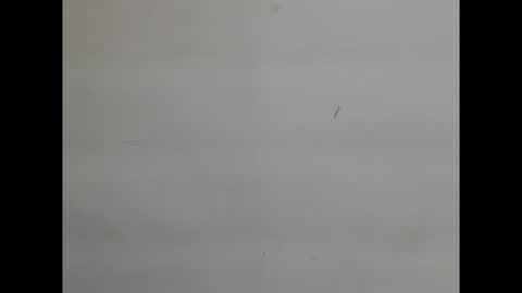 sweetnectarx online show from 11.08.25