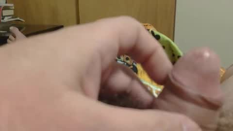 SweetRevenge online show from 12.19.25