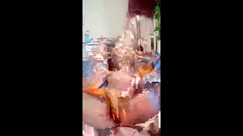 SweetSpot online show from 03.24.26