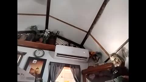 Snapshot of sweetsugar64 chatting on 02.03.26 sweetsugar64 online show from 02.03.26