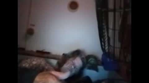 Snapshot of sweetsugar64 chatting on 03.08.26 sweetsugar64 online show from 03.08.26