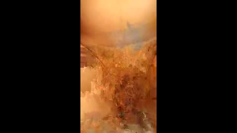 swiri123 online show from 02.28.26