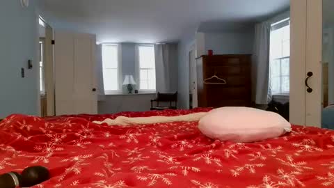 Snapshot of switchykitty chatting on 02.06.25 ashley blayde online show from 02.06.25