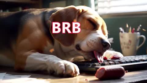 Simon online show from 03.10.26