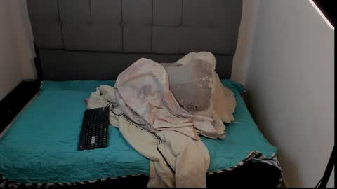 tailor online show from 01.31.26