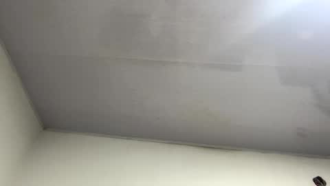 tali  online show from 10.26.25