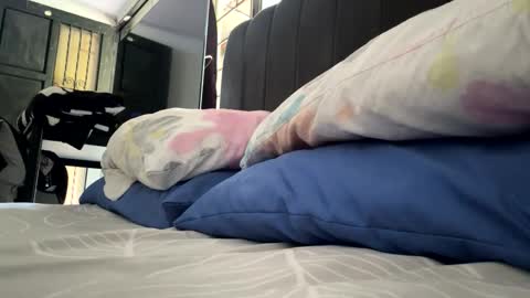 tali  online show from 02.21.26