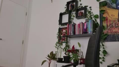 Tali Majid online show from 02.16.26