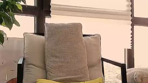 Colin online show from 07.07.26