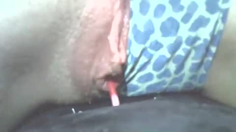 Snapshot of tamesbury chatting on 11.02.25 tamesbury online show from 11.02.25