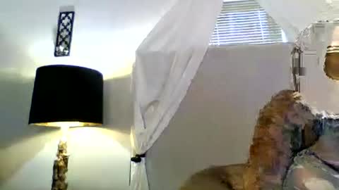 Snapshot of tammygold chatting on 06.23.26 Tammygold online show from 06.23.26