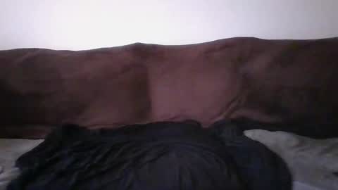 Snapshot of tarshil017 chatting on 02.18.26 tarshil017 online show from 02.18.26