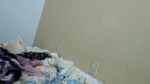tastycakes96 online show from 06.28.26