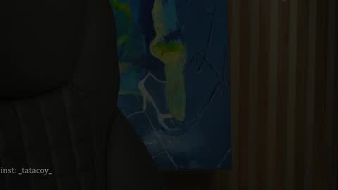 Snapshot of tatacoy chatting on 02.28.25 TataCoy online show from 02.28.25