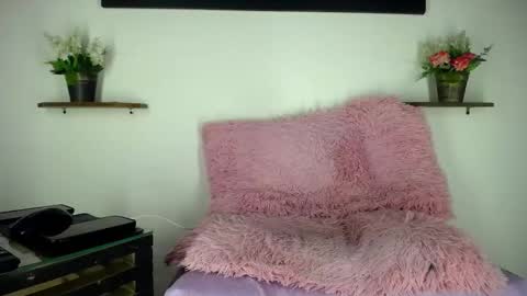 Noah online show from 02.08.26