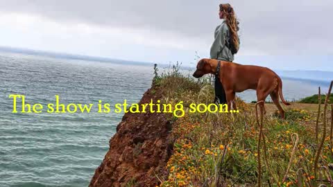 TATUM  ALL MY LINKS  online show from 03.15.26