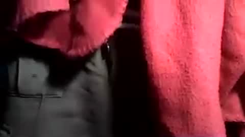 taylor3made online show from 06.21.26
