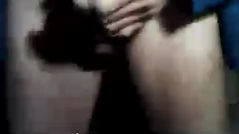 taylor3made online show from 07.06.26