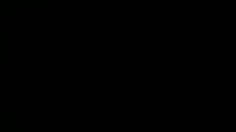 taylorsguy online show from 05.08.26