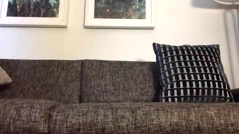 Tbiz82 online show from 03.21.26