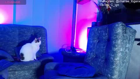 Charlee He online show from 06.07.26