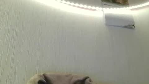 Peter online show from 07.08.26