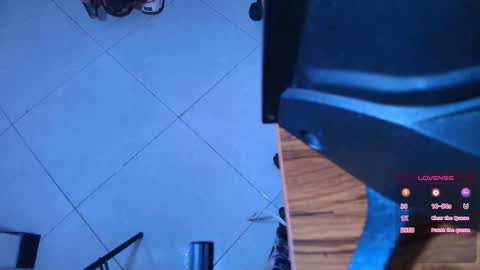 Snapshot of terraelowen chatting on 10.28.25 Terra Elowen online show from 10.28.25