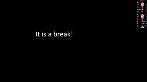 Snapshot of terryadorable chatting on 01.04.25 Terry online show from 01.04.25