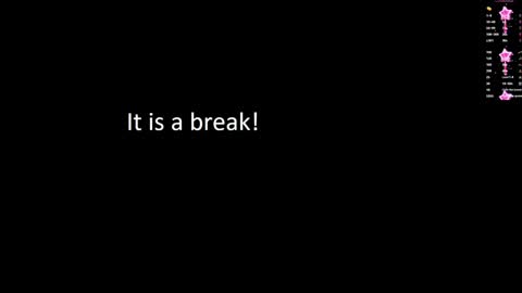 Snapshot of terryadorable chatting on 01.29.25 Terry online show from 01.29.25