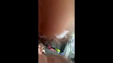 teslajustdoit online show from 03.03.26