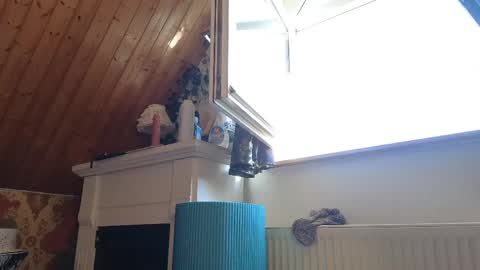 Tessa online show from 04.26.26