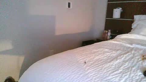 tfoolery34 online show from 02.24.26