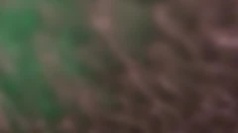 thankyoudaddy1 online show from 03.10.26