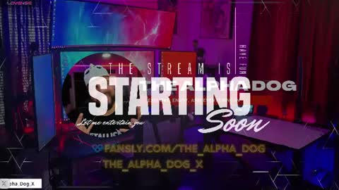 Snapshot of the_alpha_dog_xxx chatting on 06.29.26 the_alpha_dog_xxx online show from 06.29.26