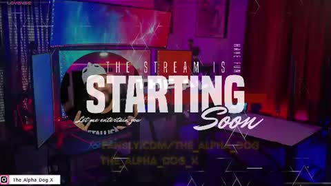 Snapshot of the_alpha_dog_xxx chatting on 07.01.26 the_alpha_dog_xxx online show from 07.01.26