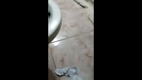 Snapshot of thedo121111 chatting on 10.01.25 thedo121111 online show from 10.01.25