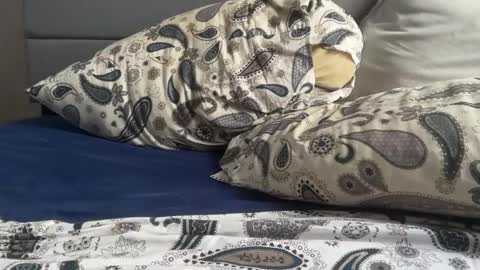 theeshooterr online show from 12.05.24