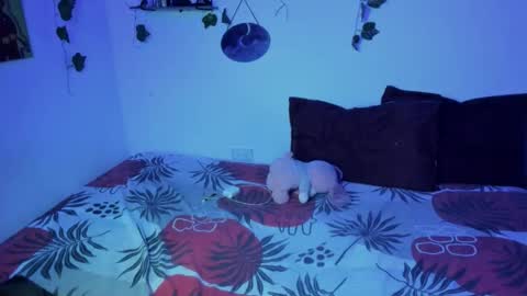 Ariamapola88 online show from 11.16.25