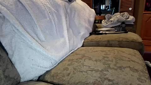 theicecreamguru online show from 10.08.25