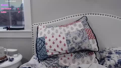 Snapshot of thelipsdown chatting on 03.02.25 Lacey online show from 03.02.25