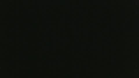 Snapshot of thenudedoodler chatting on 01.01.25 JohnSilver online show from 01.01.25